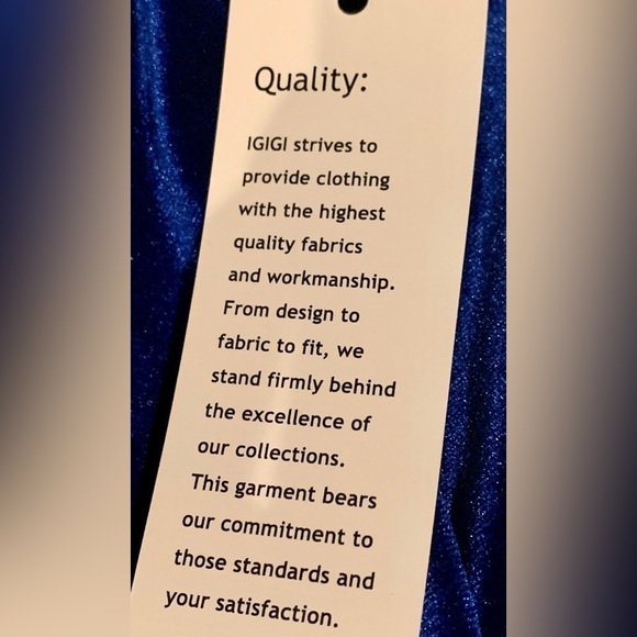 Igigi Nichol Maxi Dress Plus Size 14 Animal Print V-Neck Sleeveless Bra-Friendly - Picture 15 of 15